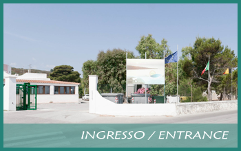 residence sul mare a vieste